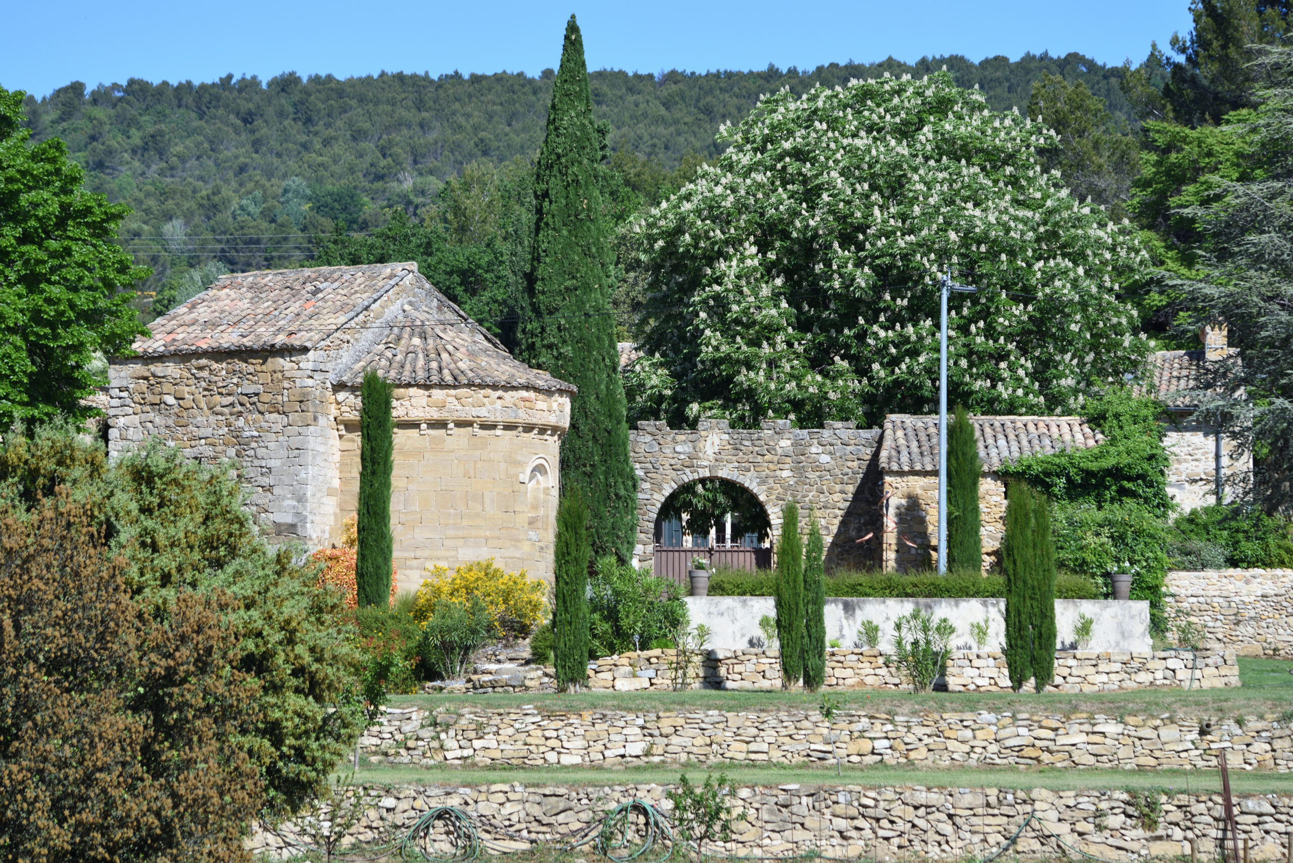 Jardin en restanques au Domaine de Laurens avec tilleul et cyprès à Roaix.