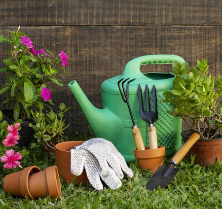 Des plantes et des outils de jardinage.