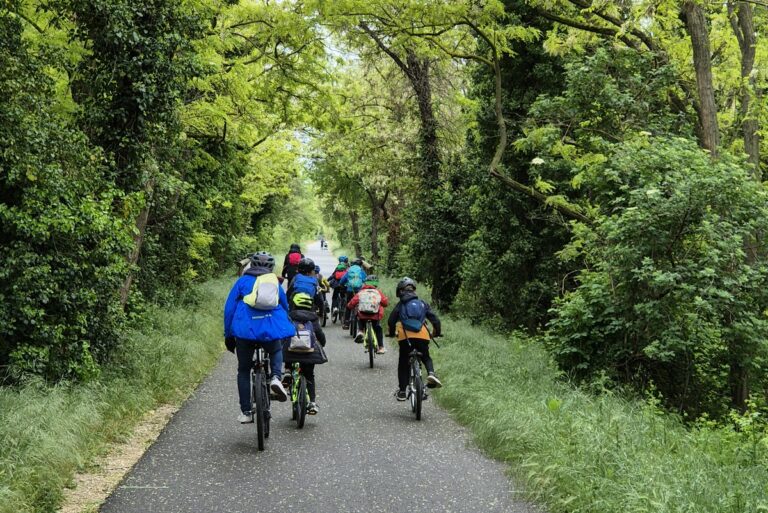 Un groupe de cyclistes comprenant des adultes et des enfants circulent sur un chemin forestier.