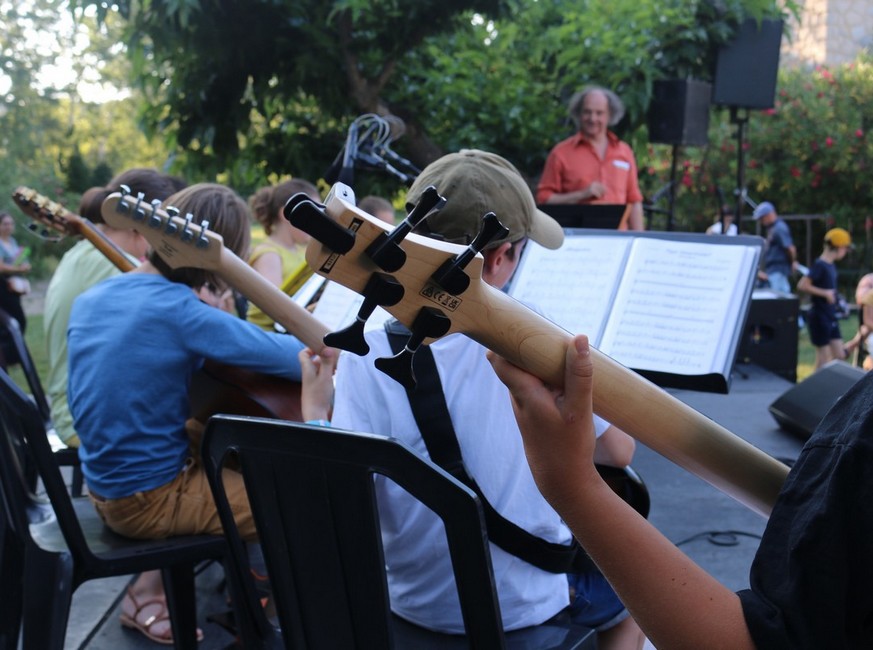Des guitaristes de l’école de musique photographiés de dos lors d'un concert.